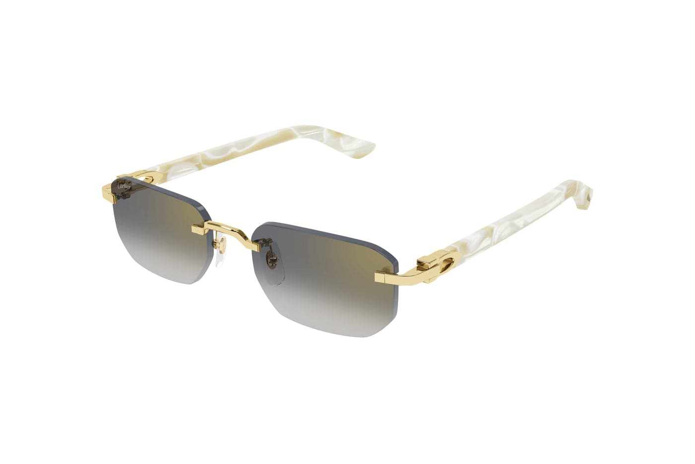 Cartier - CT0622S (004)