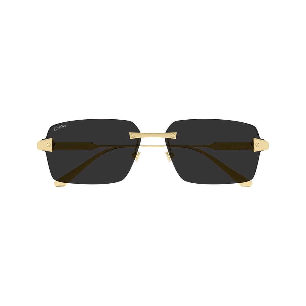 Cartier CT0434S Signature C