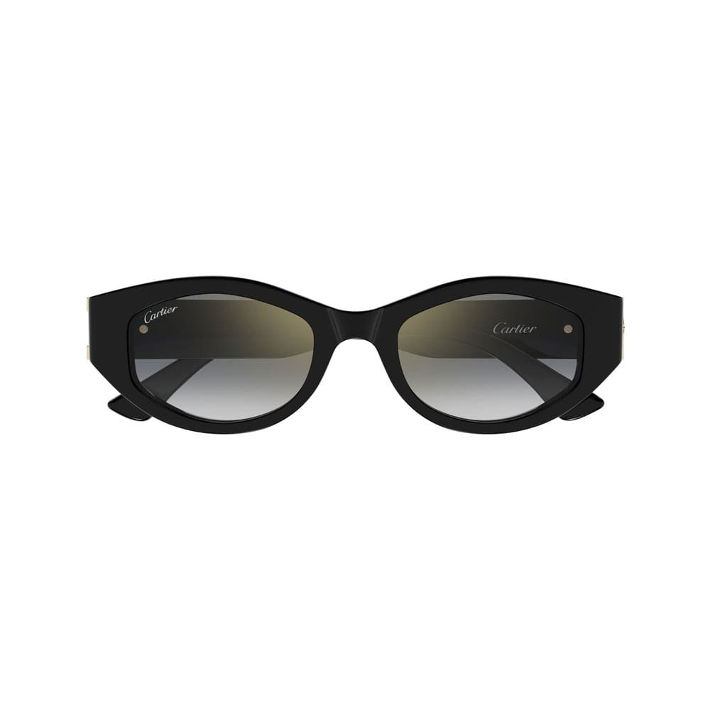 Cartier Santos de Cartier ESW00705
